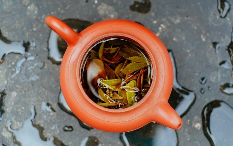 Green tea leaves steeping in a ceramic teapot.