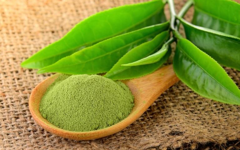 Matcha green tea powder and fresh leaves of camelia sinensis.